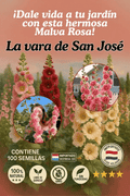 🌿SEMILLAS DE MALVA ALCEA ROSEA – LA VARA DE SAN JOSÉ 💖🔥1 paquete - 100 semillas aprox (5GR) OFERTA 2X1