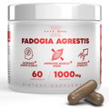 Fadogia Agrestis - Suplemento Natural Activa tu mejor versión