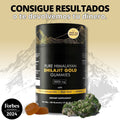 GOMITAS SHILAJIT